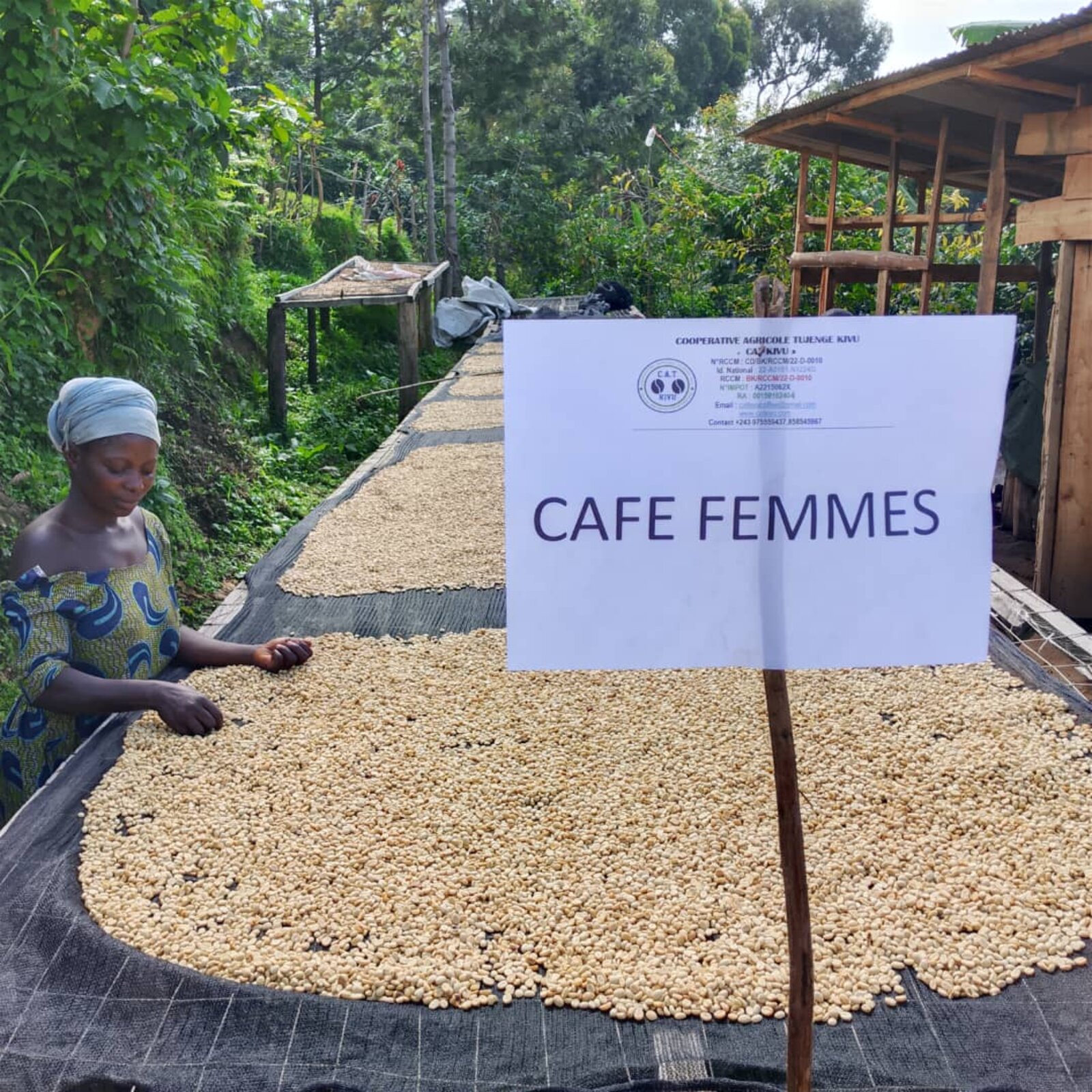 Séchage du café sur les tables de la coopérative, avec la mention Café Femmes qui rappelle le rôle central des productrices